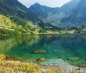 Jezioro, Sosna, Drzewo, Kamienie, Góry