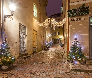 Choinka, Dekoracja, Udekorowana, Boże Narodzenie, Estonia, Ulica, Domy, Tallinn, Światła