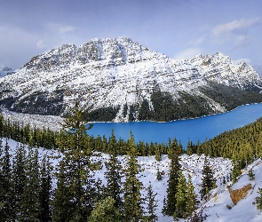 Góry, Kanada, Park Narodowy Banff, Zima, Jezioro Peyto Lake