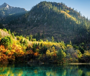 Jesień, Park Narodowy Jiuzhaigou, Chiny, Góry, Jezioro Wu Hua Hai - Pięciu Kwiatów, Drzewa, Las