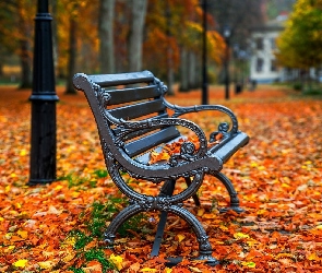 Jesień, Liście, Park, Ławka, Drzewa, Opadłe