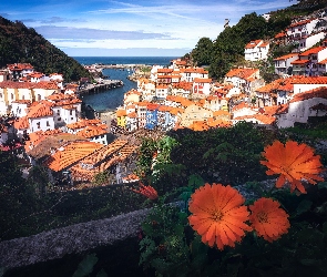 Domy, Dachy, Wzgórza, Zalesione, Hiszpania, Cudillero, Kwiaty, Asturia, Pomarańczowe