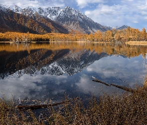 Jezioro, Trawa, Góry Katuńskie, Jesień, Rosja, Republika Ałtaju, Odbicie, Ałtaj, Drzewa