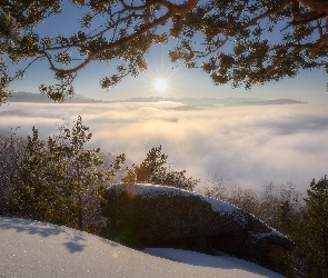 Rosja, Śnieg, Drzewa, Kamień, Zima, Mgła, Ałtaj, Sosny, Tajga, Wschód słońca