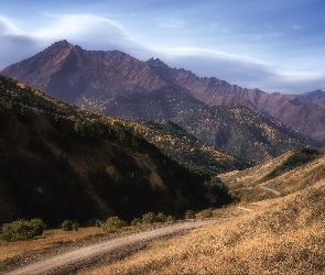 Góry, Rosja, Droga, Republika Inguszetii, Kaukaz