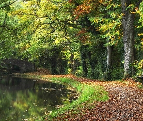 Most, Rzeka, Drzewa, Park, Aleja, Ławka