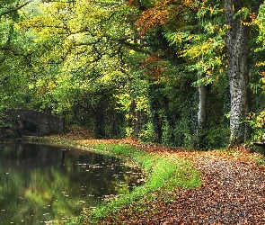 Park, Drzewa, Most, Ławka, Rzeka, Aleja