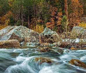 Rzeka, Głazy, Jesień, Las, Drzewa, Kamienie