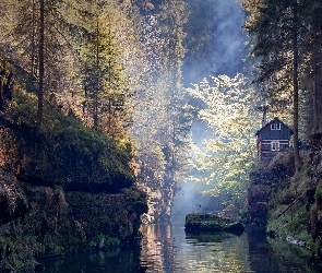 Rzeka Kamienica, Las, Skały, Park Narodowy Czeska Szwajcaria, Czechy, Dom, Drzewa, Gmina Janov, Kamienie