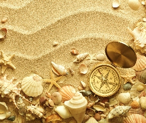 Plaża, Kompas, Muszle, Piasek