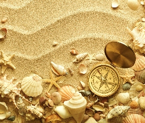 Kompas, Muszle, Plaża, Piasek