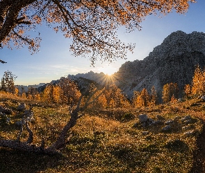 Ścieżka, Drzewa, Alpy Julijskie, Słowenia, Jesień, Góry, Szczyt Slemenova Spica