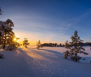 Finlandia, Kotka, Ośnieżone, Zima, Drzewa, Zachód słońca