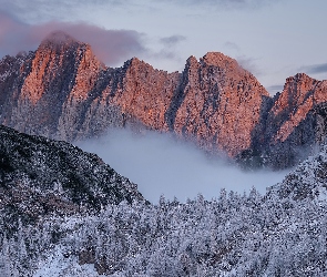 Śnieg, Mgła, Drzewa, Las, Góry