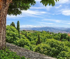 Drzewa, Murek, Hiszpania, Grenada, Andaluzja, Góry
