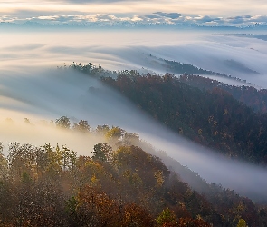 Jesień, Mgła, Chmury, Szwajcaria, Uetliberg, Szczyt, Zurich, Góry