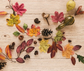 Kolorowe, Kasztany, Jesień, Szyszki, Dynie, Liście, Deski, Żołędzie