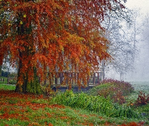 Drzewo, Jesień, Mgła, Opadłe, Liście, Trawa, Mostek