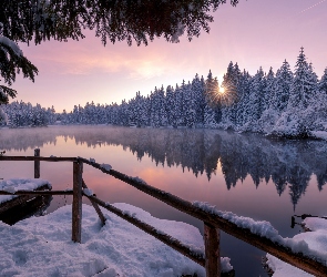 Zima, Kanton Jura, Ośnieżone, Szwajcaria, Drzewa, Las, Śnieg, Jezioro, Etang de la Gruere