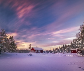 Norwegia, Ringerike, Zima, Drzewa, Domy, Jezioro