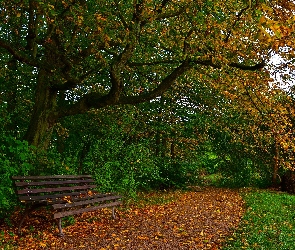 Jesień, Liście, Drzewa, Park, Ławka, Ścieżka