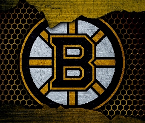 Klub hokejowy, Boston Bruins, Logo