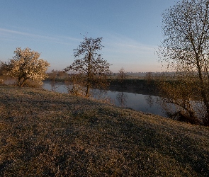 Trawa, Drzewa, Jesień, Rzeka