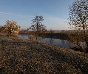 Jesień, Trawa, Drzewa, Rzeka