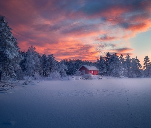 Ringerike, Las, Norwegia, Drzewa, Zachód słońca, Zima, Chmury, Dom