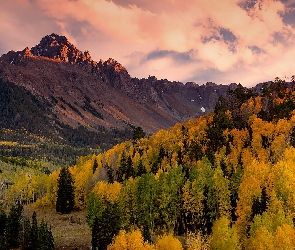 Góra Mount Sneffels, Drzewa, San Juan Mountains, Góry, Stany Zjednoczone, Przełęcz Dallas Divide, Jesień, Kolorado, Lasy