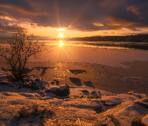 Zachód słońca, Zima, Norwegia, Jezioro Tyrifjorden, Okręg Buskerud, Drzewa