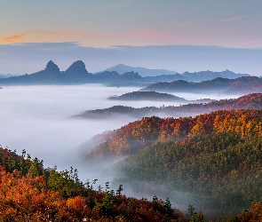Góry, Drzewa, Mgła, Lasy, Jesień