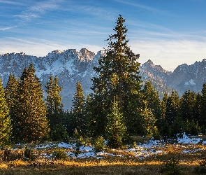 Góry, Drzewa, Ośnieżone, Szczyty, Alpy Julijskie