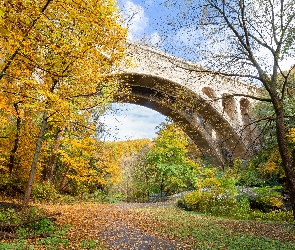 Stan Pensylwania, Filadelfia, Henry Avenue Bridge, Stany Zjednoczone, Jesień, Most, Drzewa