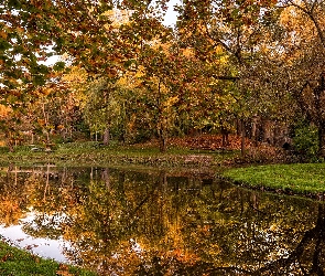 Jesień, Park, Most, Staw, Ławki, Drzewa