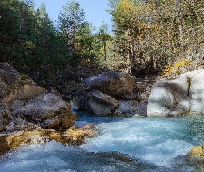 Kamienie, Głazy, Las, Rzeka
