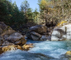 Las, Kamienie, Głazy, Rzeka