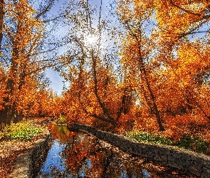 Jesień, Drzewa, Słońce, Kanał, Rzeka, Park