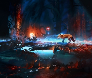Lis, Światła, Noc, Las, Grafika