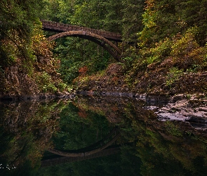 Stan Waszyngton, Skały, Drzewa, Stany Zjednoczone, Most Moulton Falls Bridge, Las, Rzeka Lewis River