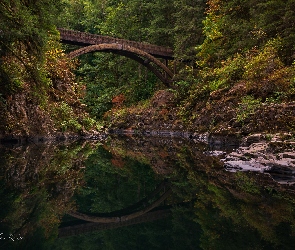 Drzewa, Las, Stany Zjednoczone, Most Moulton Falls Bridge, Skały, Stan Waszyngton, Rzeka Lewis River