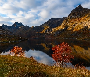 Góry, Drzewa, Kolorowe, Jezioro, Jesień