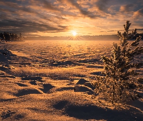 Ringerike, Drzewa, Zachód słońca, Norwegia, Jezioro, Zima, Zaśnieżone