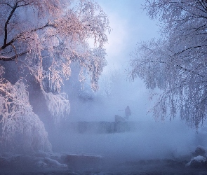 Drzewa, Zima, Poranek, Szron, Śnieg, Wędkarz, Mgła