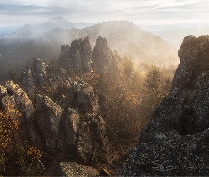 Drzewa, Skały, Góry Taganaj, Rosja, Ural, Park Narodowy Taganaj, Obwód czelabiński, Mgła