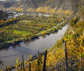 Wzgórza, Niemcy, Jesień, Winnice, Rzeka Mozela
