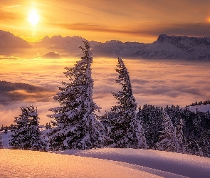 Śnieg, Chmury, Zima, Góry, Świerki, Drzewa, Zachód słońca, Mgła