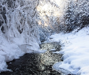 Drzewa, Lód, Rzeka, Śnieg, Zima
