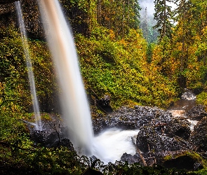 Drzewa, Strumień, Las, Wodospad North Falls, Stany Zjednoczone, Skały, Roślinność, Stan Oregon, Rzeka