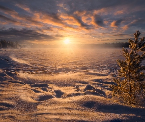 Śnieg, Zima, Norwegia, Ośnieżone, Drzewo, Ringerike, Zachód słońca